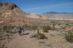 Ellen and margie on the kohta trail [sun nov 19 14:15:23 pst 2017]